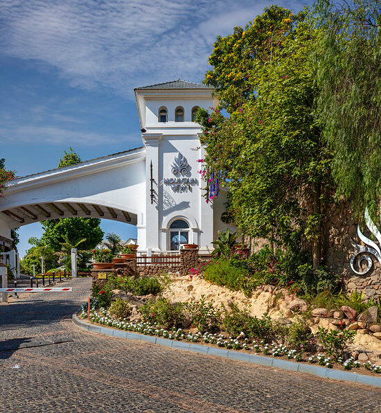 53217048606_ba972bde3e_c