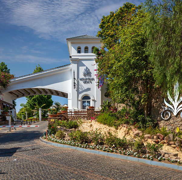 53217048606_ba972bde3e_c 53217048606_ba972bde3e_c