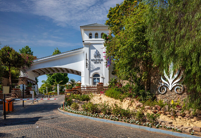 53217048606_ba972bde3e_c